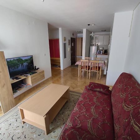 Woody Apartment Novi Sad Bagian luar foto
