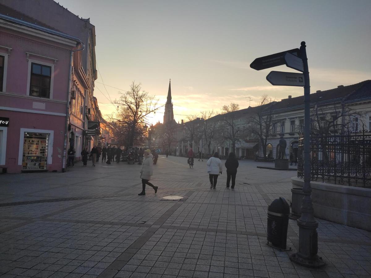 Woody Apartment Novi Sad Bagian luar foto