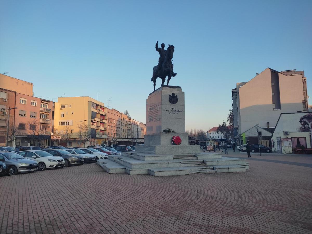 Woody Apartment Novi Sad Bagian luar foto