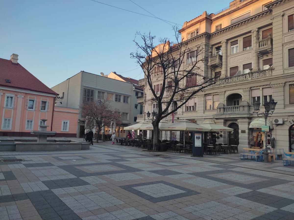 Woody Apartment Novi Sad Bagian luar foto