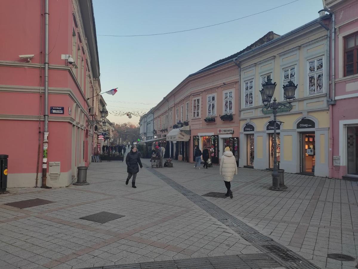 Woody Apartment Novi Sad Bagian luar foto