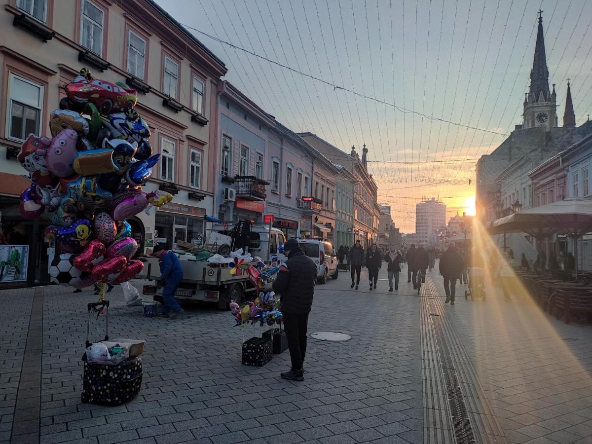Woody Apartment Novi Sad Bagian luar foto