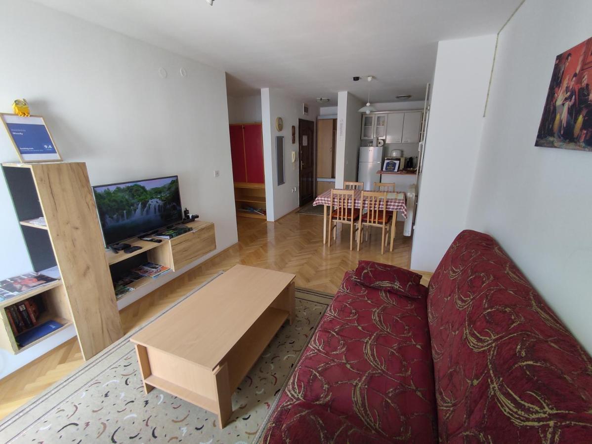 Woody Apartment Novi Sad Bagian luar foto