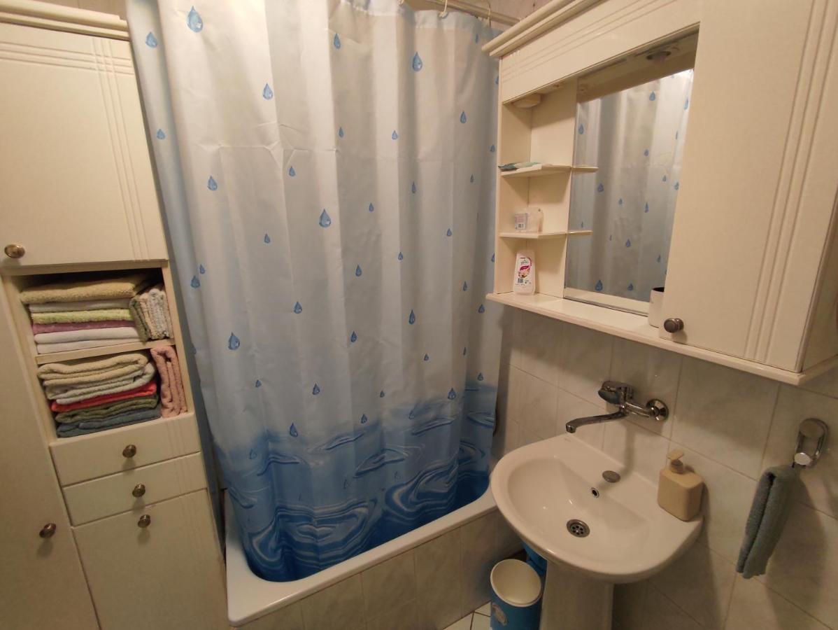 Woody Apartment Novi Sad Bagian luar foto