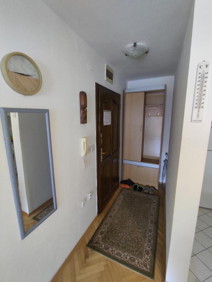 Woody Apartment Novi Sad Bagian luar foto