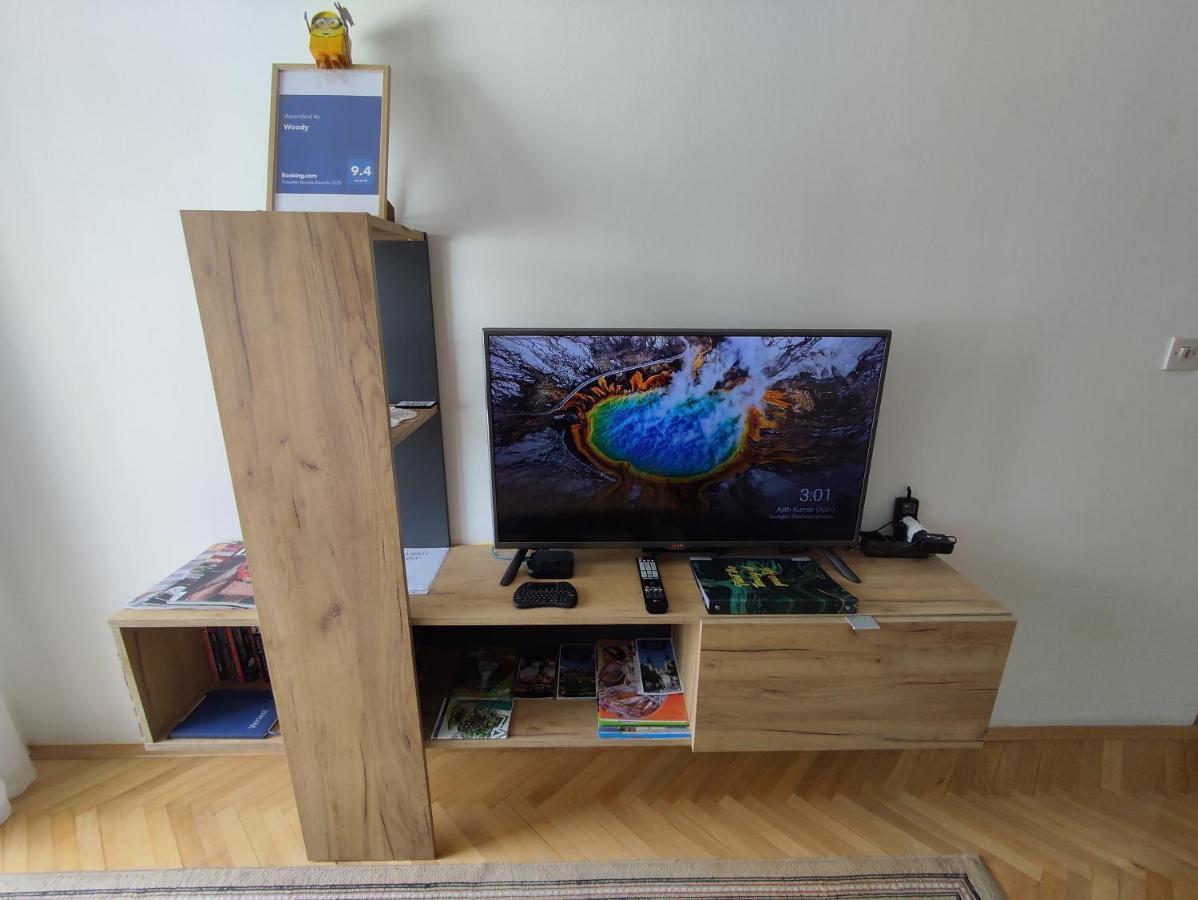 Woody Apartment Novi Sad Bagian luar foto
