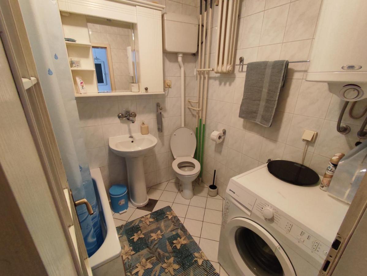 Woody Apartment Novi Sad Bagian luar foto