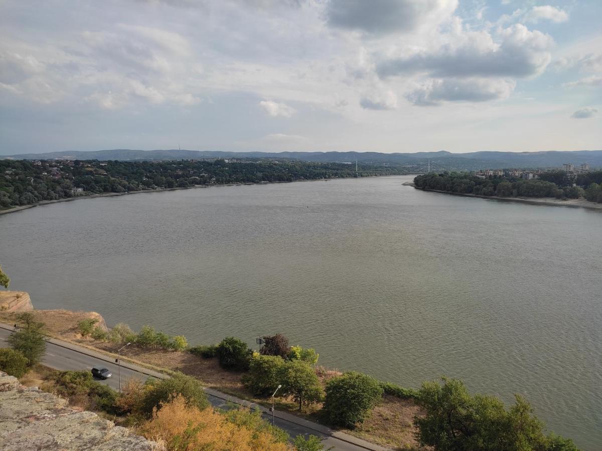 Woody Apartment Novi Sad Bagian luar foto